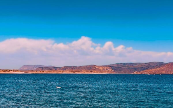 IND.LAGO.019